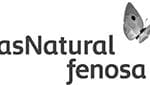 Gas Natural Fenosa
