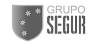 Grupo Segur